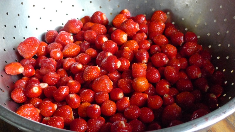 washed berries with green tops removed